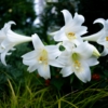 Thumbnail of related posts 033